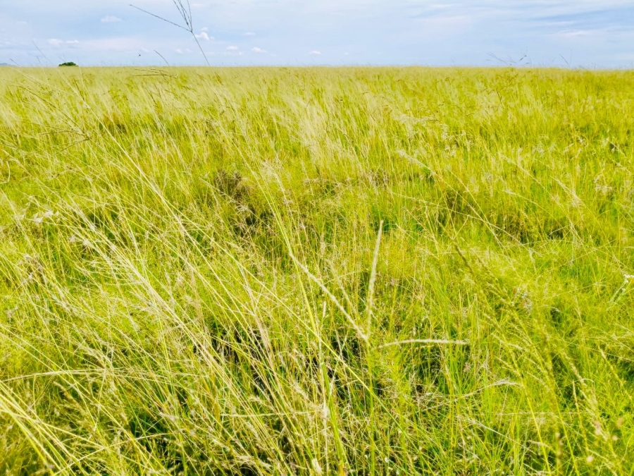Commercial Property for Sale in Edenburg Free State